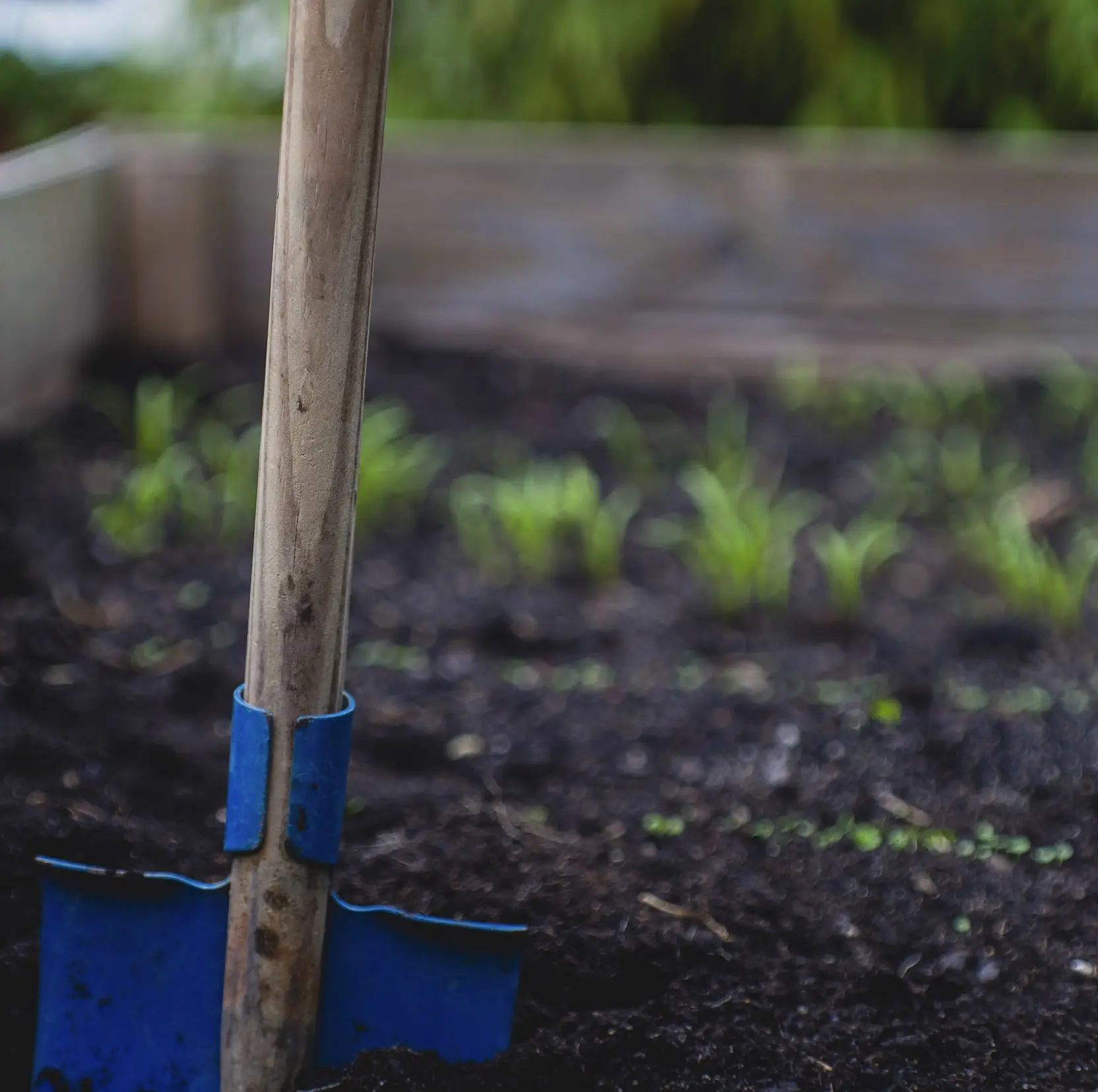 Our agriculture development process