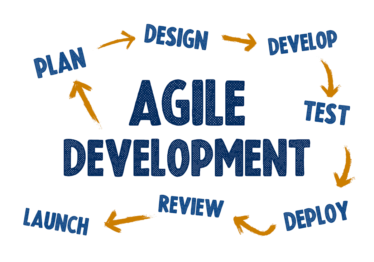 Agile Development in Medical Software Development