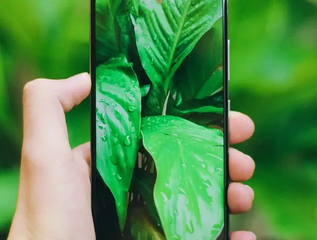 Carbon Footprint Calculator: Why Do You Need It and How to Develop One