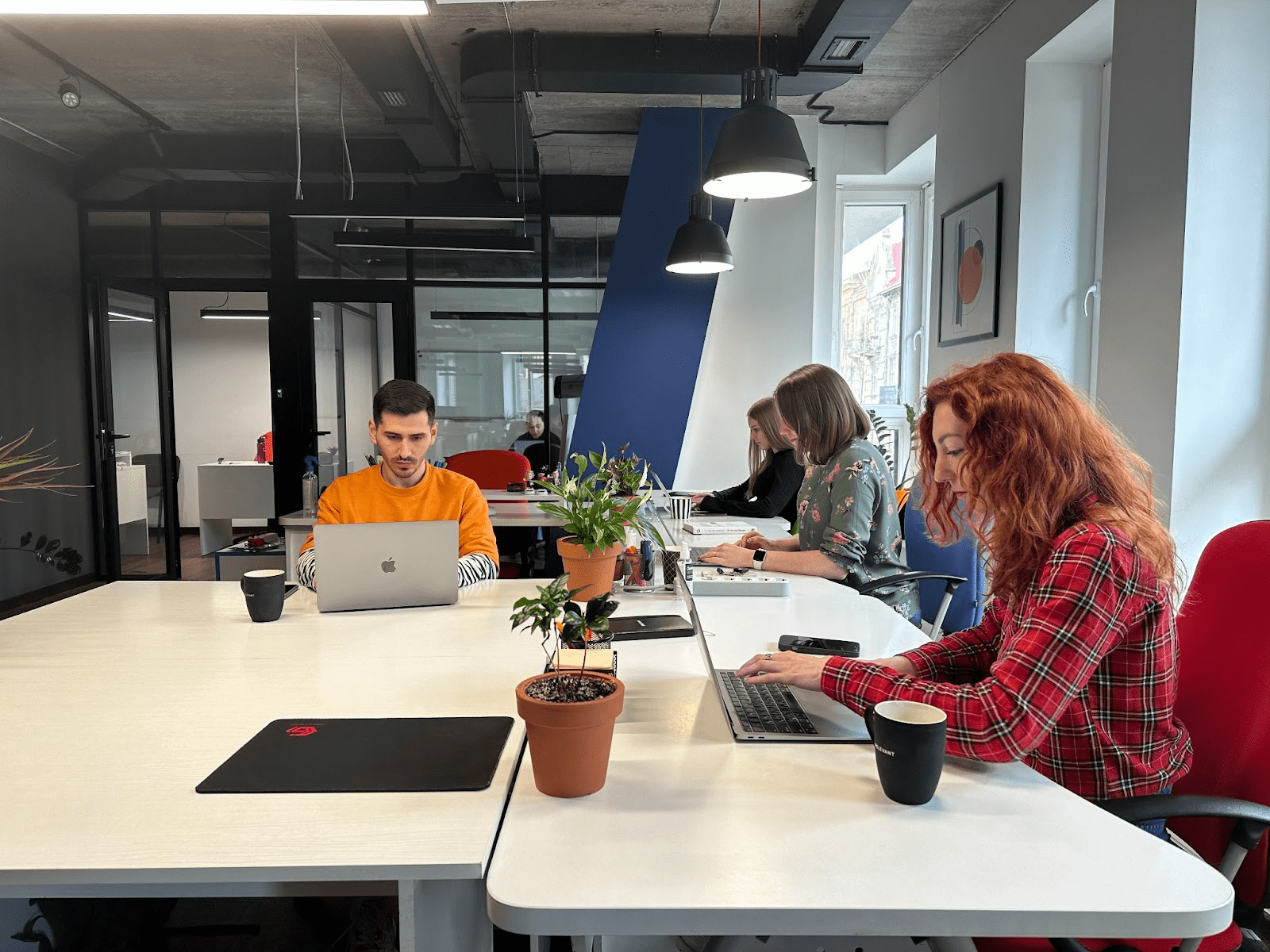 Software Development Team