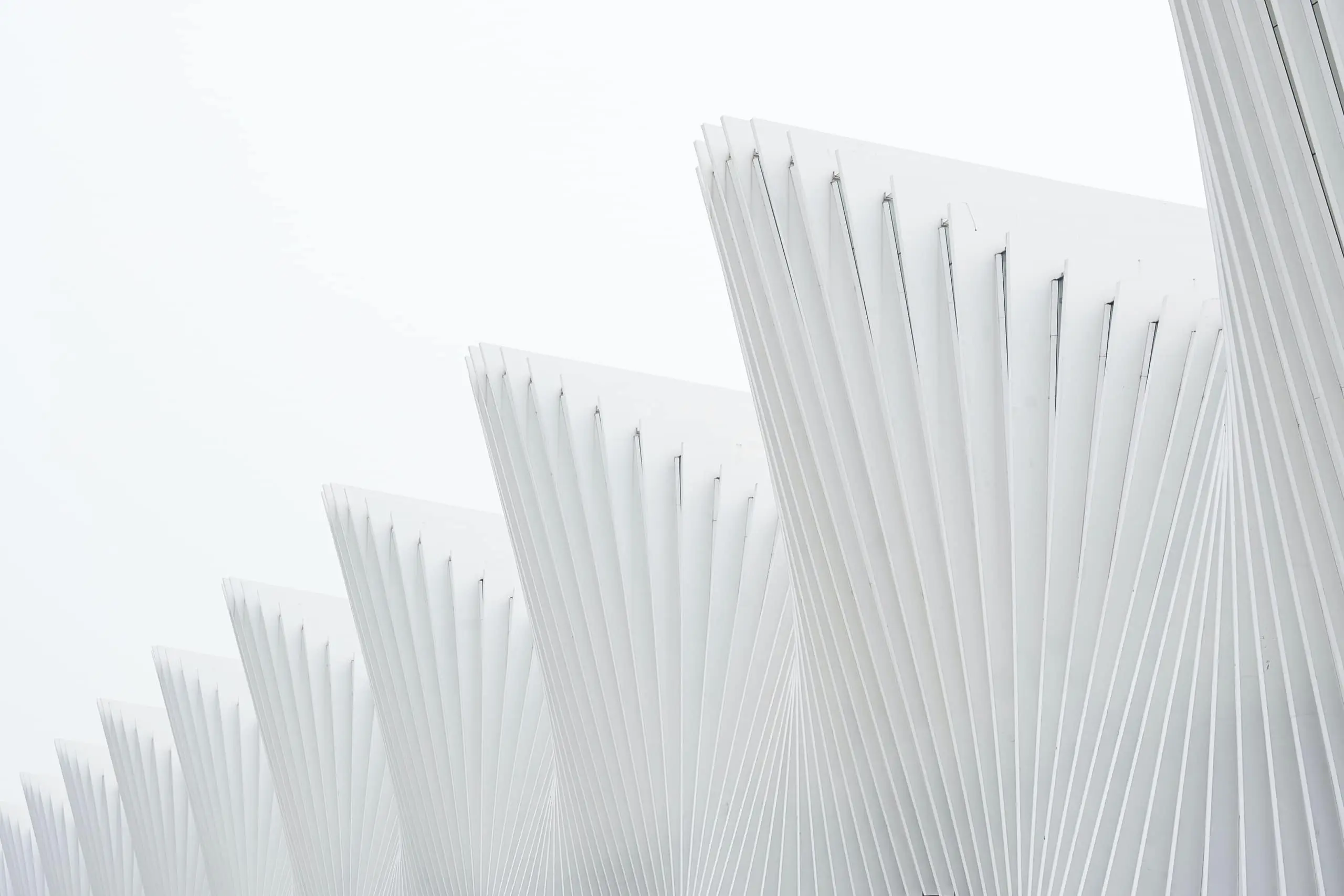 Building a White Label App: Advantages and Challenges in 2024 [Architecture Example Included]