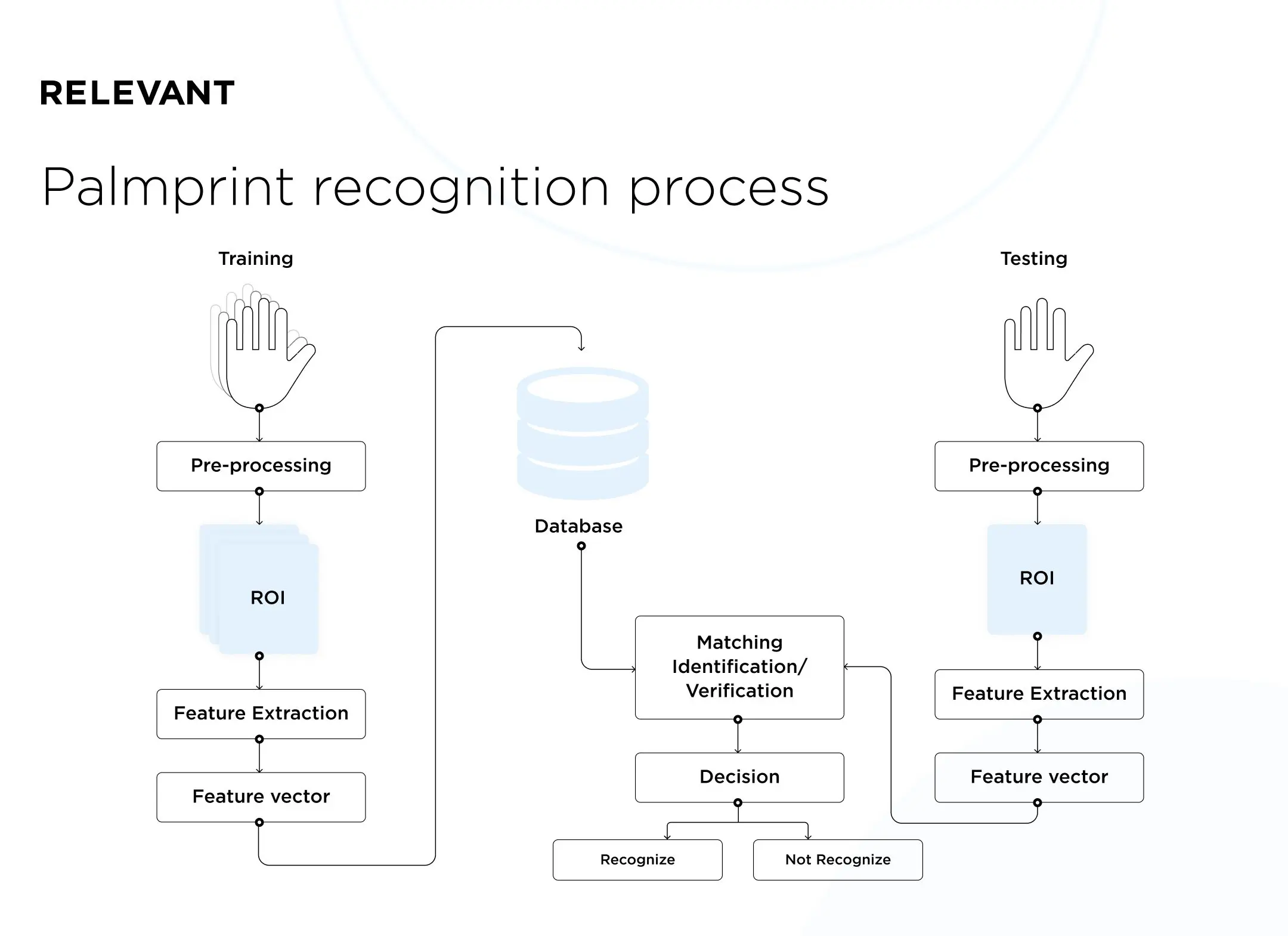 the process of palmprint recognition