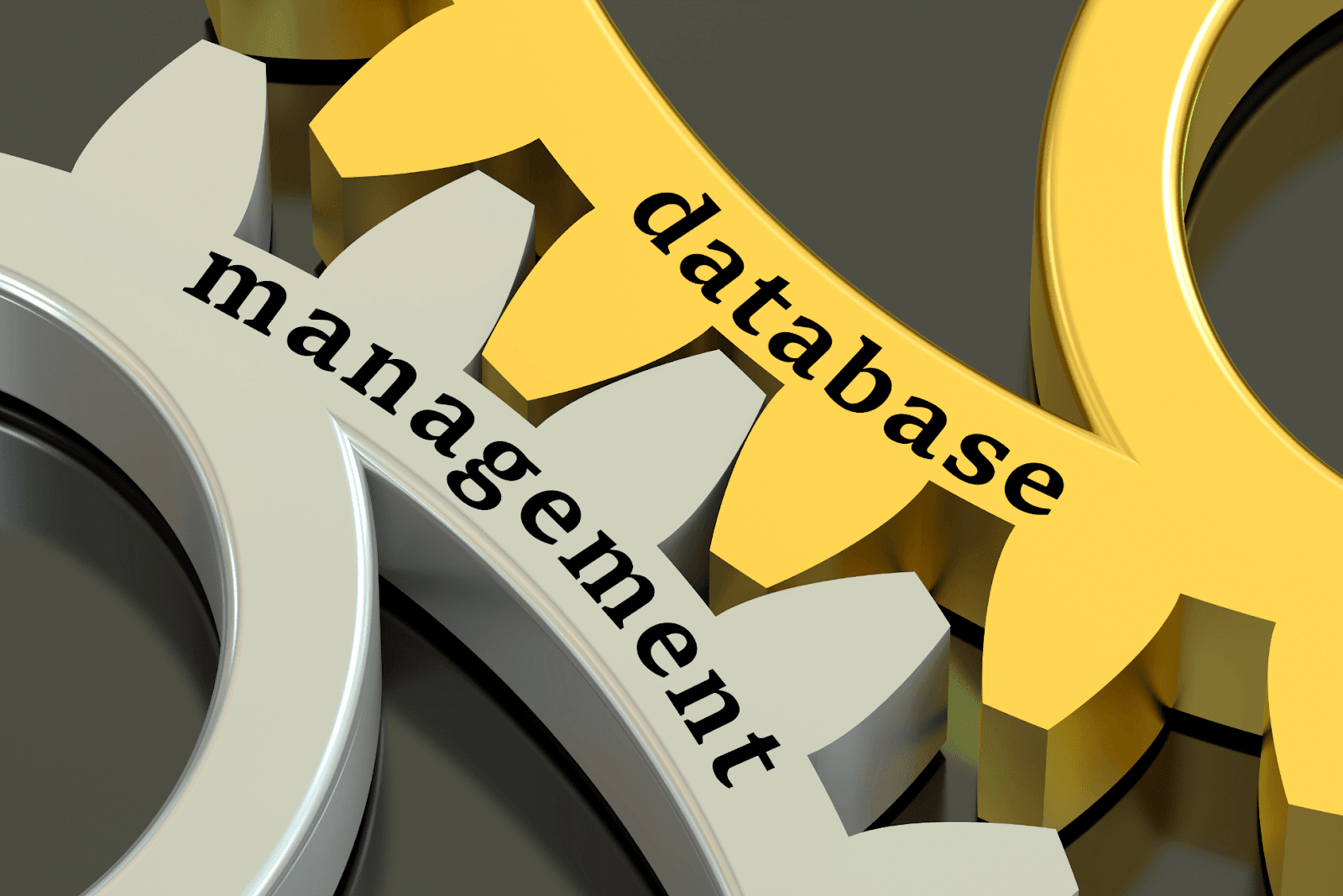Microservices Database Management