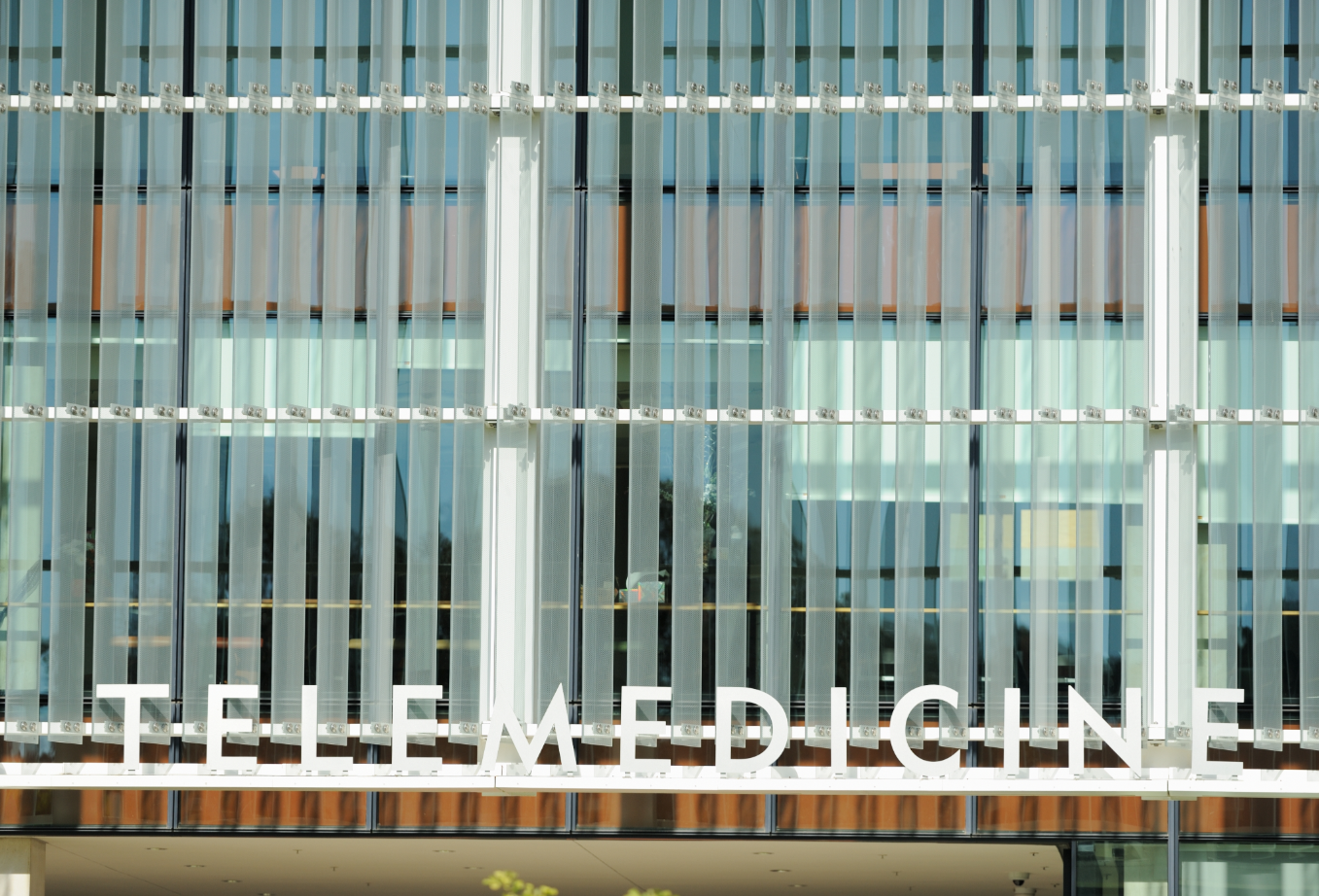 Telehealth vs. Telemedicine