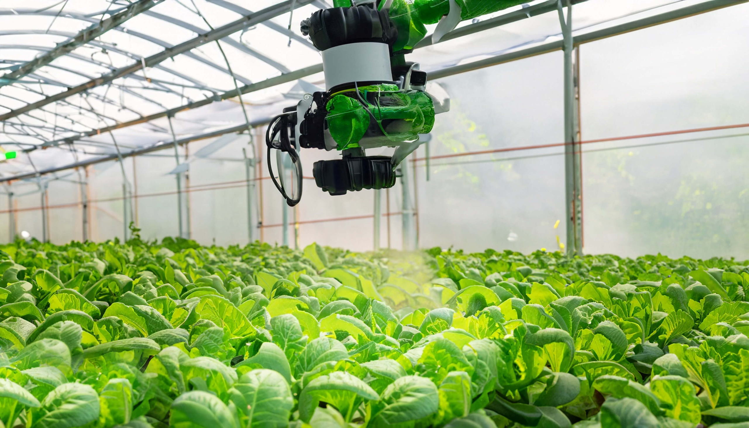 Smart Irrigation