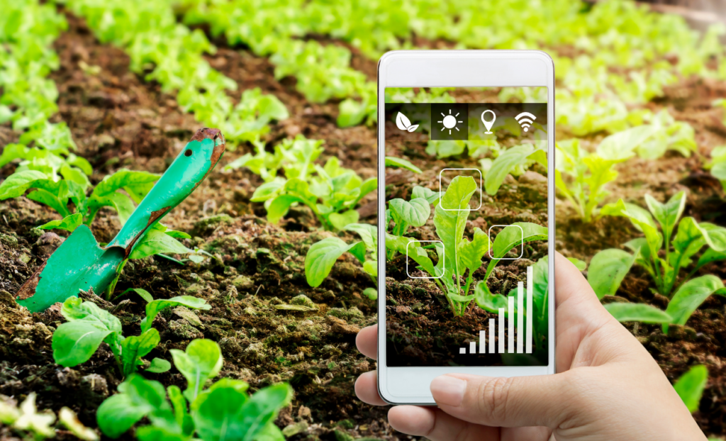 Agriculture Software Development Services