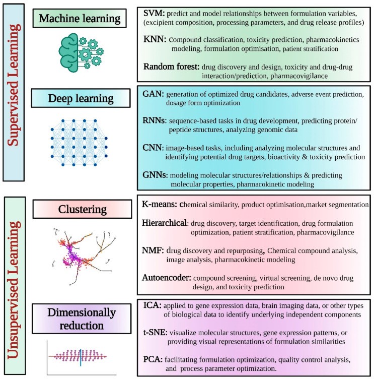 Applications of Computer Vision in Healthcare