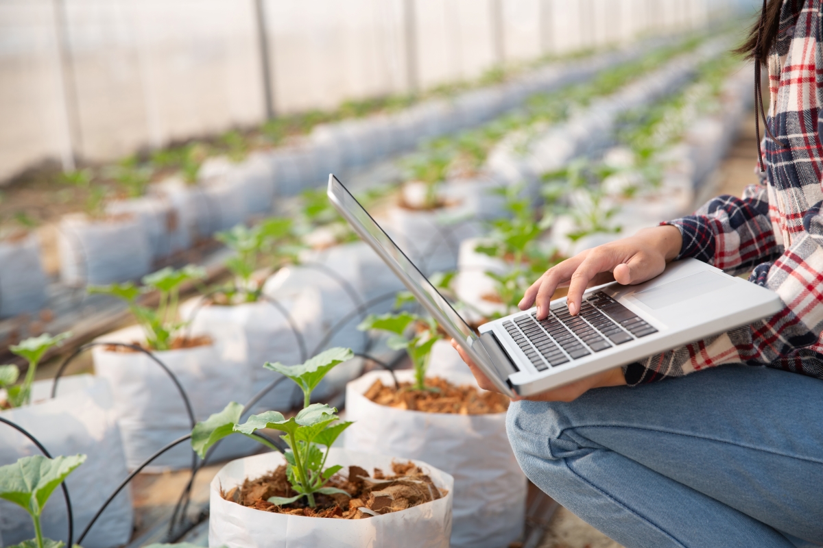 Big Data in Agriculture